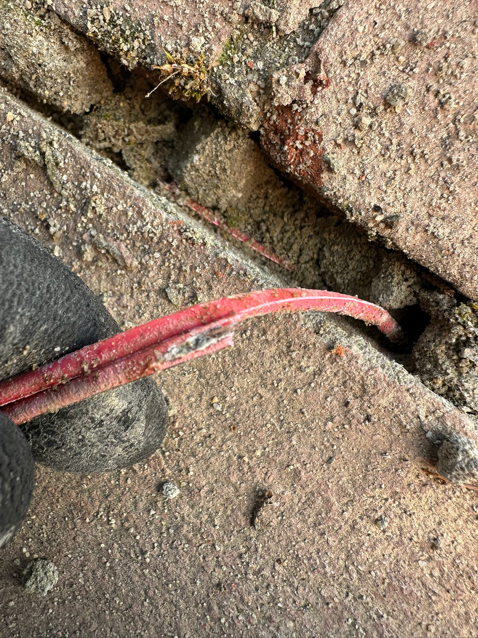 ⚡ Avería invisible que puede destrozar tu instalación: detectamos un fallo oculto en cable soterrado